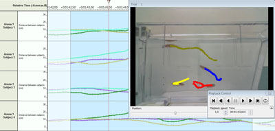 distances between zebrafish
