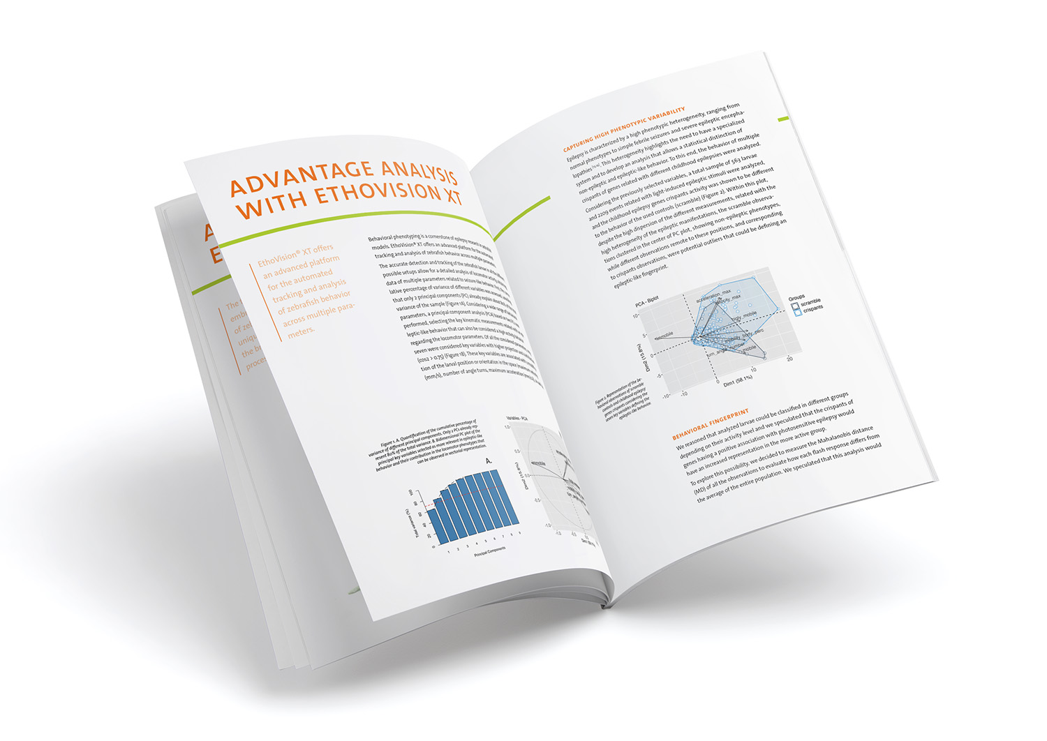 Mock-up - Whtite paper - Zebrafish Mock-up - Whtite paper - Zebrafish