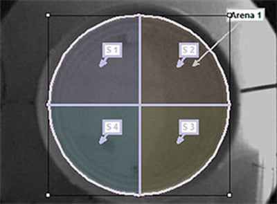 arena-sectioning-water-maze2.jpg arena-sectioning-water-maze2.jpg