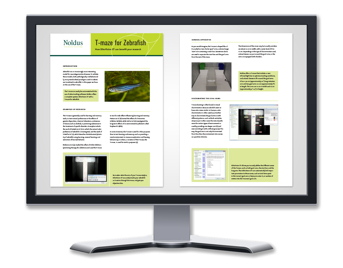 Free white paper on t-maze for zebrafish